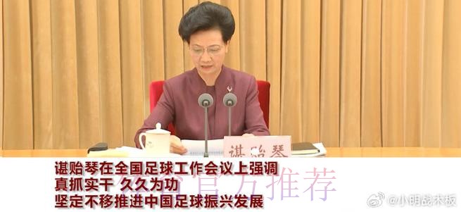 谌贻琴在全国足球工作会议上强调 真抓实干 久久为功 坚定不移推进中国足球振 谌贻琴在全国足球工作会议上强调 真抓实干 久久为功 坚定不移推进中国足球振